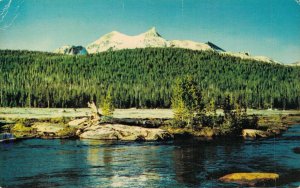 USA Tuolumne Meadows Yosemite National Park Vintage Postcard 07.43