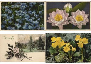 FLOWERS IN MOUNTAINS 300 Vintage Postcards Pre-1970 (L3593)