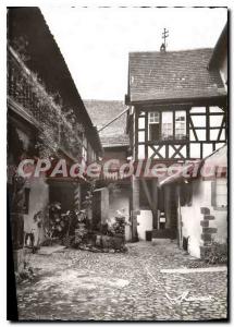 Modern Postcard Riquewihr Liebrich The Court House of the Storks 1535