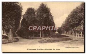 Old Postcard Montereau Promenade Noues