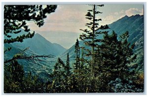 Alta Utah Postcard Alta Lodge Autumn Scene Down Little Cottonwood Canyon c1960s