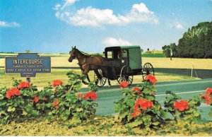 Amish Horse and Buggy in Intercourse Pennsylvania Amish Country