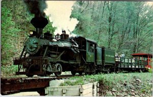 Postcard TRAIN SCENE Cass West Virginia WV AM8182
