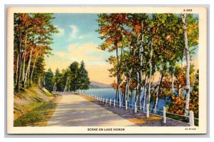 Scene On Road Along Lake Huron Michigan MI UNP Linen Postcard Y13