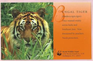 Bengal Tiger postcard