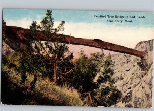 c1910 Petrified Tree Bridge Bad Lands Terry Montana MT Prairie County Postcard