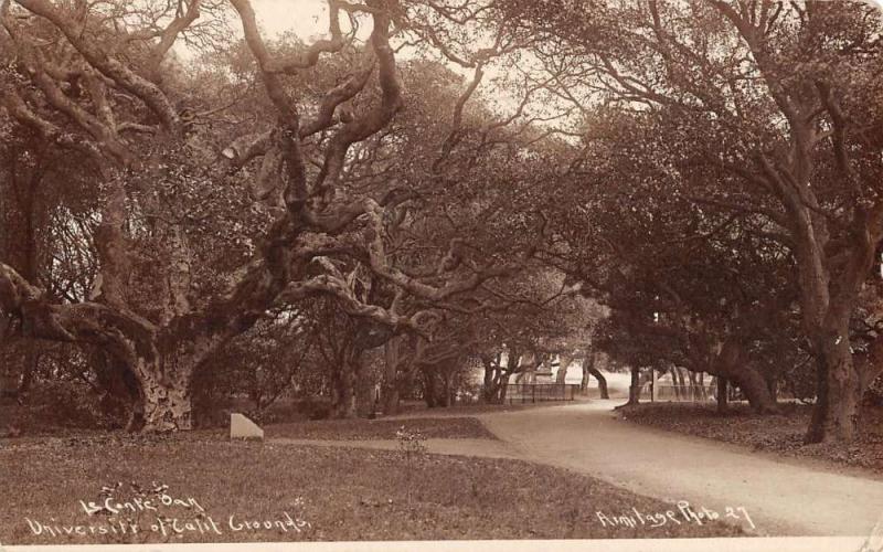 Oakland California University Grounds Real Photo Antique Postcard K15950