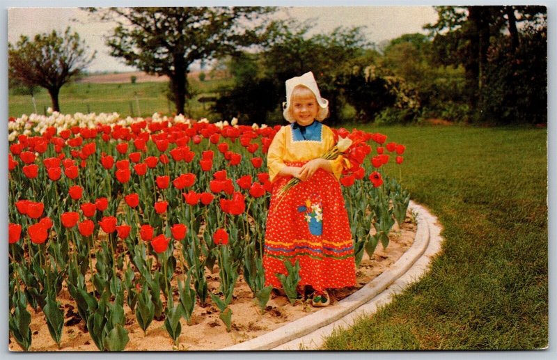 Vtg Holland Michigan MI Tulip Time Garden Dutch Girl Costume Farm Postcard
