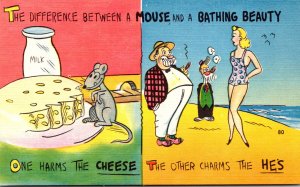 Humour The Difference Between A Mouse and A Bathing Beauty