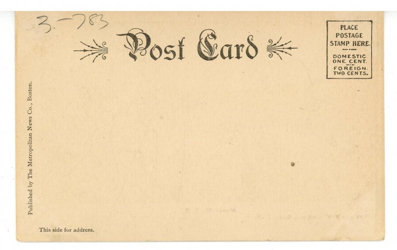 NH - Munsonville. Bird's Eye View circa 1900