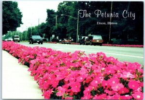 Petunias, Dixon's Men's Garden Club Petunia Planting Project - Dixon, Illinois