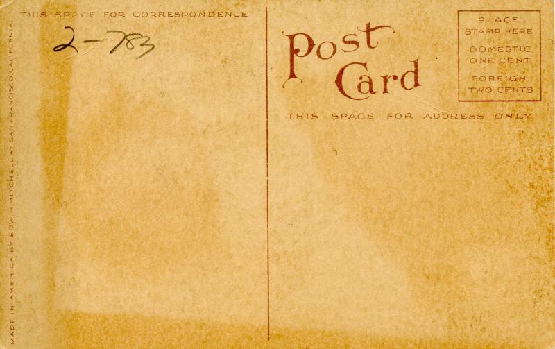 Flowers -   Ulrich Bruner Rose                            (Edward H. Mitchell...