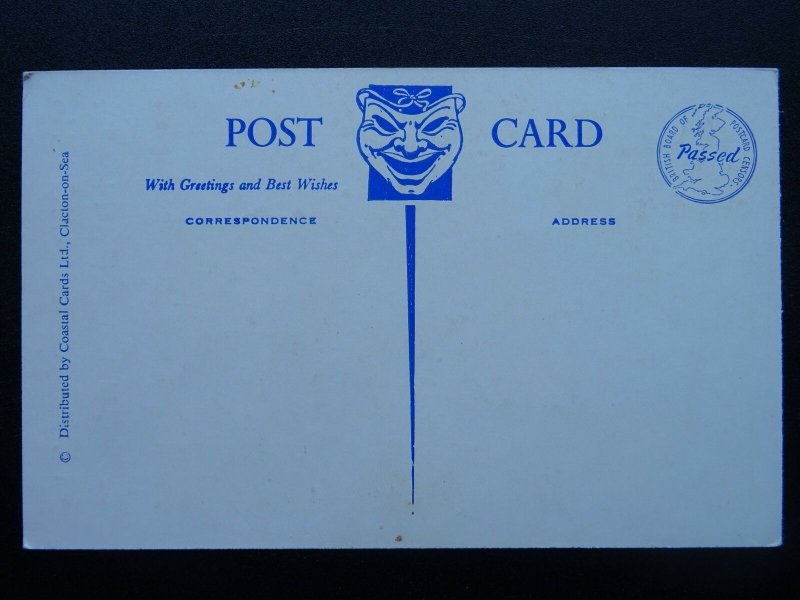 Comic Pirate Theme THAT WILL BE HIS JOLLY ROGER !!! c1960s Postcard by C.C.Ltd