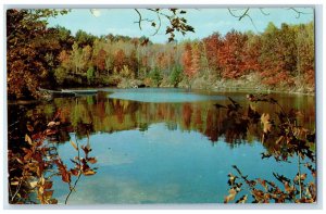 c1960's Muskegon River Near Hardy Dam in Central Michigan, Muskegon MI Postcard