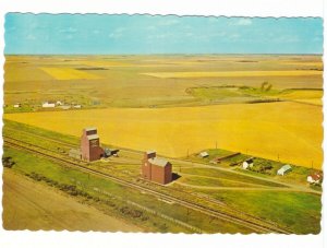 Harvest Time In Saskatchewan, Grain Elevators, Chrome Aerial View Postcard