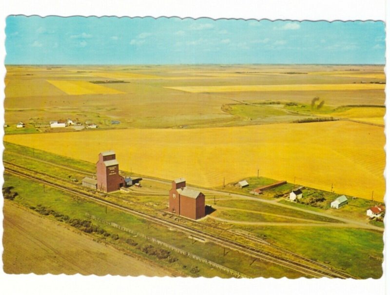 Harvest Time In Saskatchewan, Grain Elevators, Chrome Aerial View Postcard