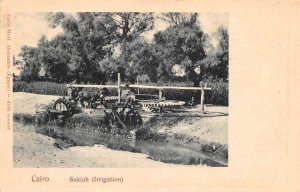 Cairo Egypt Sakiah Irrigation Farming Scene Vintage Postcard AA75001