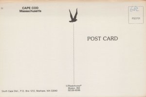 USA Cape Cod Massachusetts Map Chrome Postcard 04.04