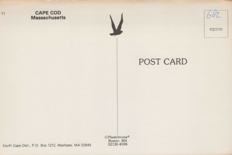 USA Cape Cod Massachusetts Map Chrome Postcard 04.04