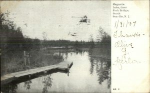 South Seaville NJ Magnolia Lake c1905 Postcard