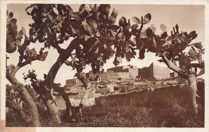 RPPC Taroudant Morocco Kasbah Prickly Pear Cactus Edition La Cigogne