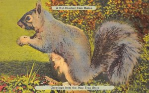 Nut Cracker From Maine Squirrel Chipmunk Unused 