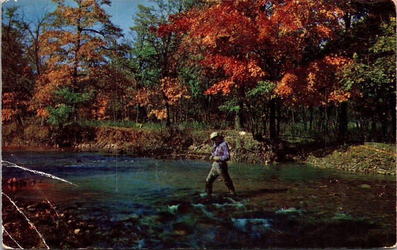 Pocono Mts Massachusetts MA Fisherman Fishing Fall Trees Creek Water Postcard 