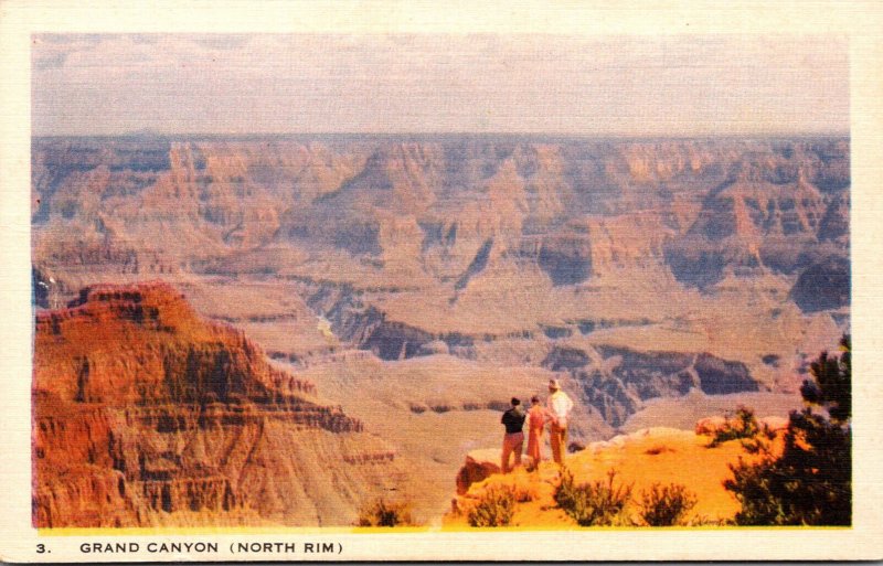 Arizona Grand Canyon North Rim At Point Sublime