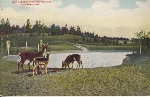 WASHINGTON PARK ZOO - DEER PADDOCK - MILWAUKEE