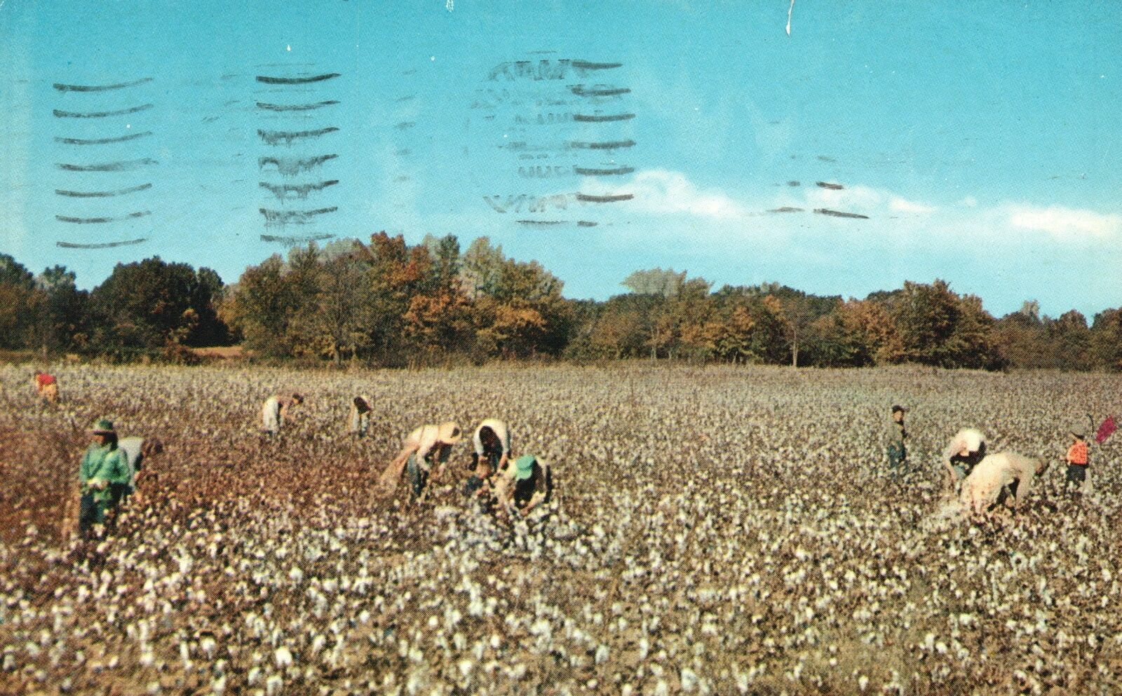 Vintage Postcard A Typical Scene World's Largest Cotton Market Memphis