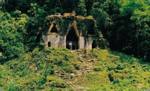 Mexico Temple of the Foliated Chiapas Mexico Vintage Postcard 07.35