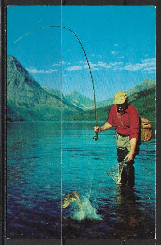 Montana - Trout Fishing - Glacier National Park - [MT-045]