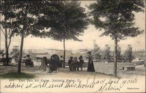 Ashtabula Harbor Ohio OH Point Park Rotograph Hand Colored c1905 Postcard