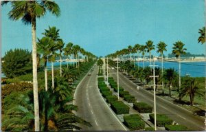 Florida Causeway To Clearwater Beach 1970