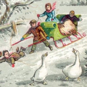 1880s Jacobs & Co. Winter Sled Geese Keans Store San Francisco F122