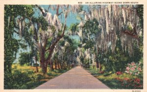 Vintage Postcard 1937 An Alluring Highway Scene Down South Florida FL