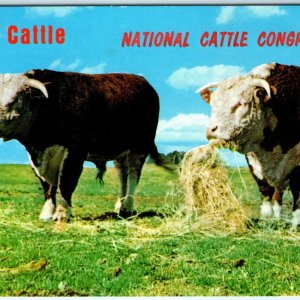 Waterloo, IA National Cattle Congress Chrome Photo Postcard Bull Cow Unused A46