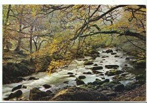 Wales Postcard - River Lledr - Near Bettws-y-Coed - Caernarvonshire   ZZ348