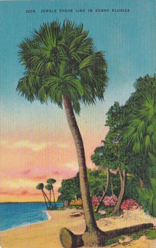 Florida Jungle Shore Line In Sunny Florida 1946