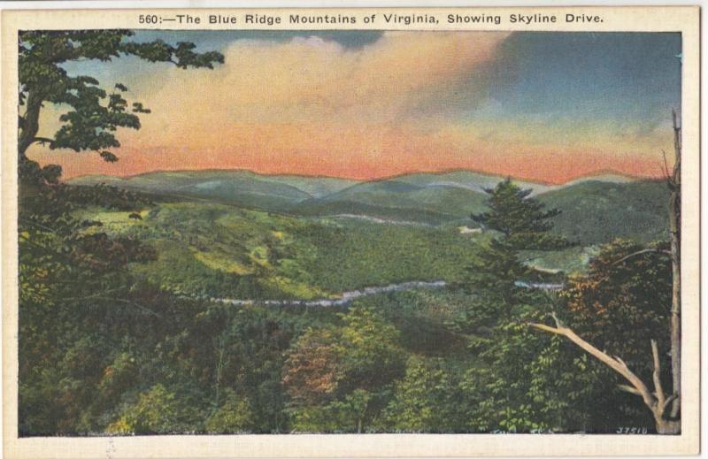 The Blue Ridge Mountains of Virginia, Showing Skyline Drive, unused Postcard