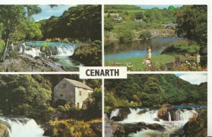 Wales Postcard - Views of Cenarth - Caernarvonshire - Ref TZ394