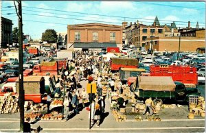 Kitchener, Ontario Canada  FARMERS MARKET Outdoor Produce Vendors 1971 Postcard
