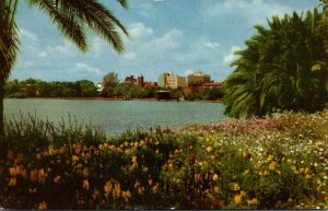 Florida Orlando View From Across Lake Eola