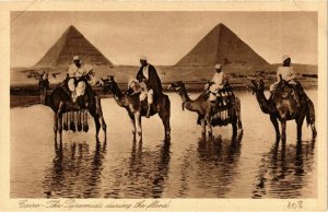 CPA Lehnert & Landrock 108 Cairo - The Pyramids during the Flood EGYPT (917592)