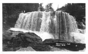 Davis West Virginia Black Water Falls Real Photo Antique Postcard K22831