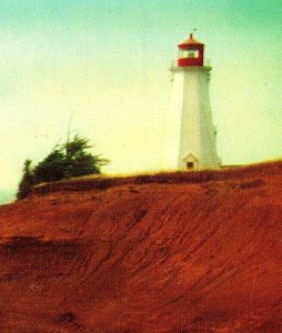 Sea Cow Head Lighthouse Prince Edward Island Vintage Standard View Postcard 