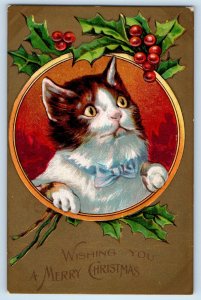 1909 Christmas Cat Kitten Holly Berries Embossed Philadelphia PA Posted Postcard