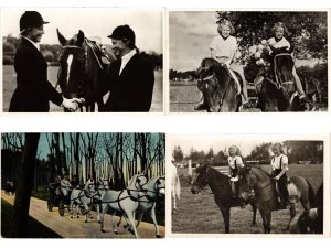 DUTCH ROYALTY HORSE RIDING, 25 Old Postcards Mostly pre-1950 (L6198)