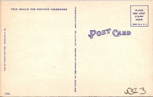 Vintage Postcard Bridges Wheeling WV JN2