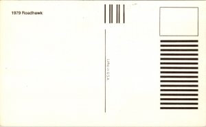 Advertising Postcard 1979 Buick Skyhawk Roadhawk